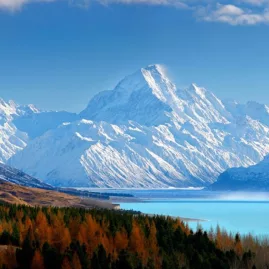 Snow-covered Mount Cook rising behind Lake Pukaki with autumn colours in the foreground