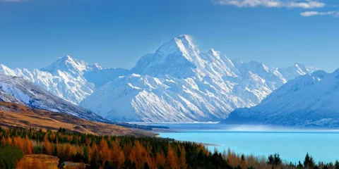Snow-covered Mount Cook rising behind Lake Pukaki with autumn colours in the foreground