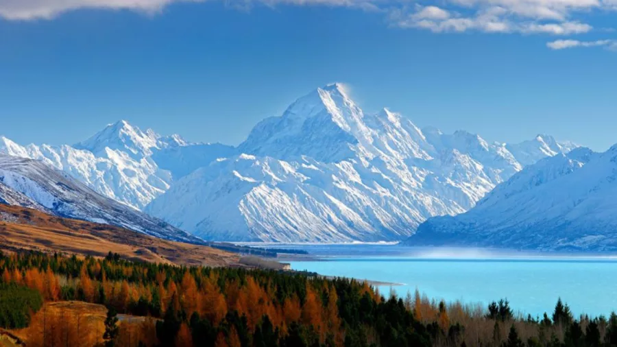 Snow-covered Mount Cook rising behind Lake Pukaki with autumn colours in the foreground