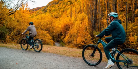 Two cyclists riding through a golden valley on the Ride to Riches e-bike tour