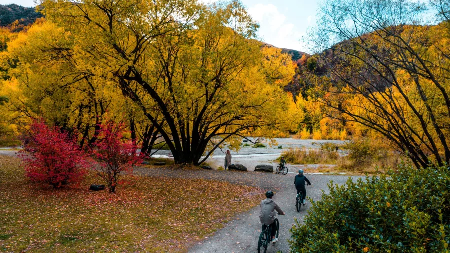 Cyclists on the Ride to Riches bike trail surrounded by golden trees near Arrowtown