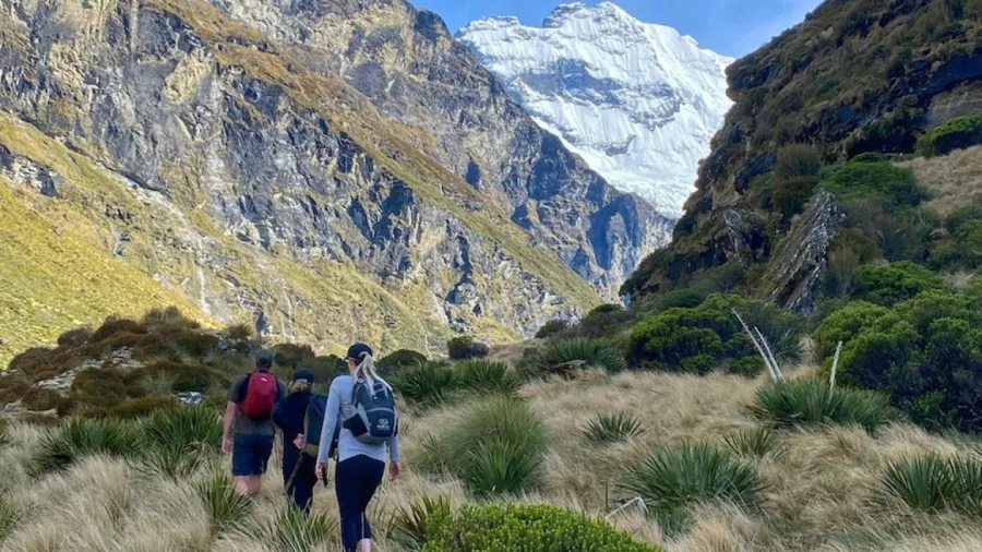 Group hiking through alpine meadows toward Earnslaw Burn glacier