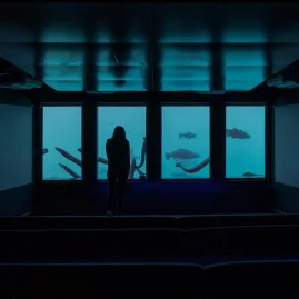 Person silhouetted against underwater viewing windows with fish at Time Tripper Queenstown