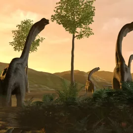 3D animation of sauropod dinosaurs walking through forest at sunset