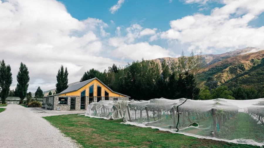 Exterior of Kinross cellar door and vineyard with protective nets in Gibbston Valley