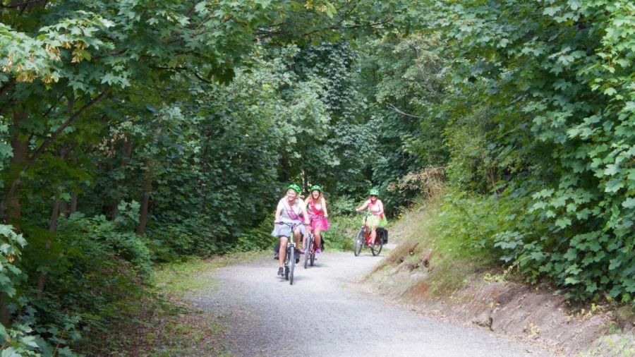 Group cycling through shaded forest trail on an e-bike tour