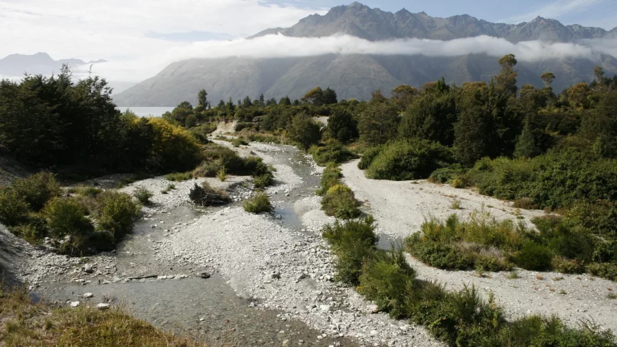 Dart River winding through native bush near Glenorchy with mountain backdrop