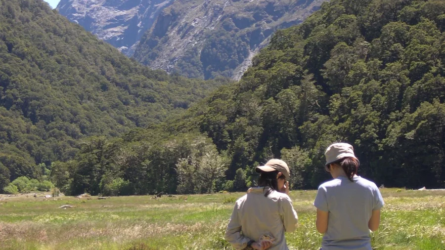 Guided walkers looking towards snow-capped peaks in Mt Aspiring National Park