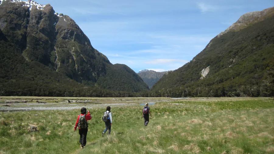 Group walking through open grassland valley on Routeburn Track