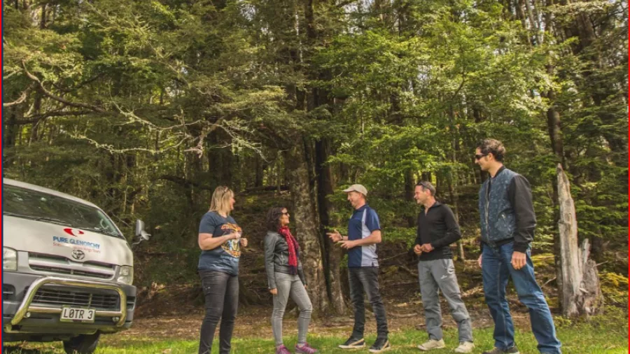 Pure Glenorchy guide briefing guests in a forest during the Lord of the Rings tour