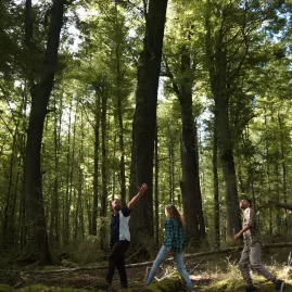 Group of guests walking through lush native forest on Pure Glenorchy Lord of the Rings tour