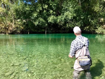 Fly fisherman casting in a crystal-clear river near Queenstown