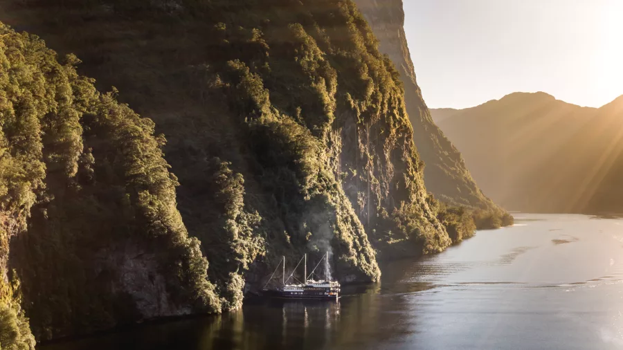 Fiordland Navigator cruise bathed in morning light on Doubtful Sound