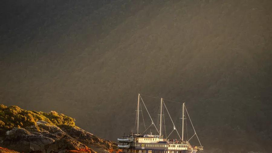 Fiordland Navigator at the edge of Doubtful Sound with evening light over rocky coastline