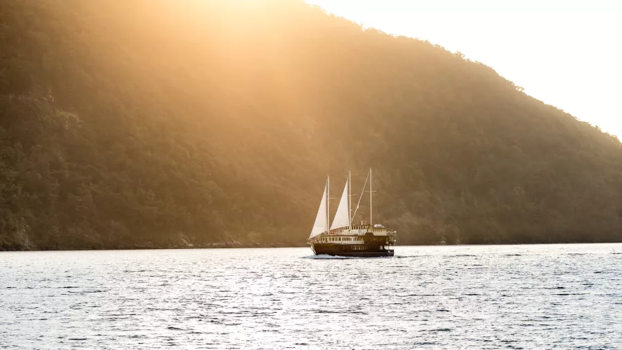 The Fiordland Navigator sailing in soft golden light at dusk