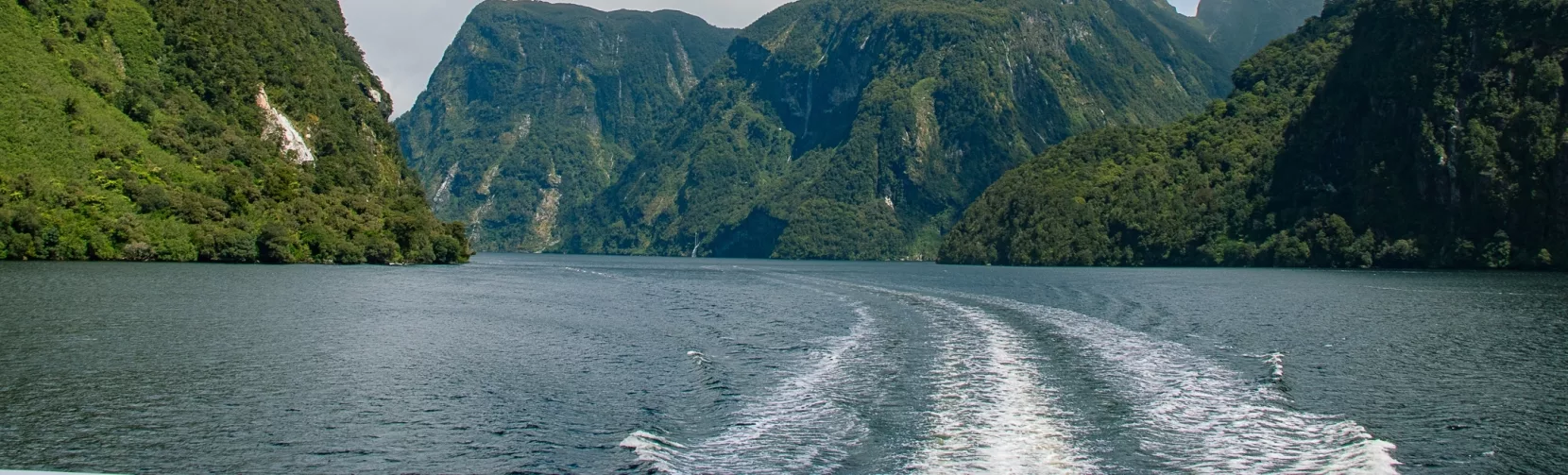 View from a day cruise through Doubtful Sound in Fiordland National Park, with lush forested mountains and calm water under a blue sky.