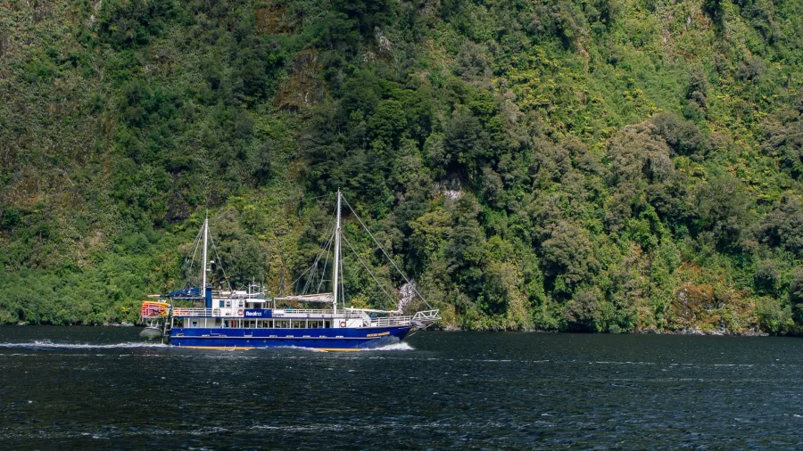 The Milford Wanderer sailing close to native rainforest in Doubtful Sound, Fiordland