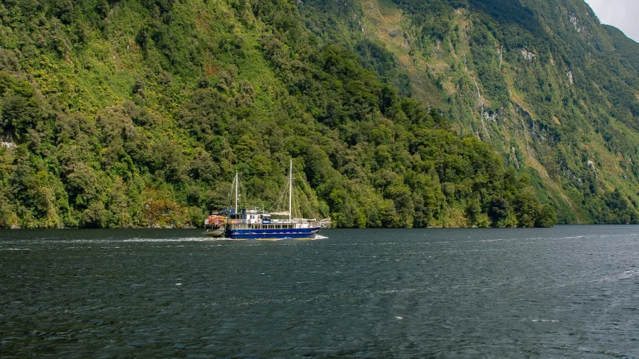 RealNZ’s Milford Wanderer gliding through calm waters in Doubtful Sound, New Zealand