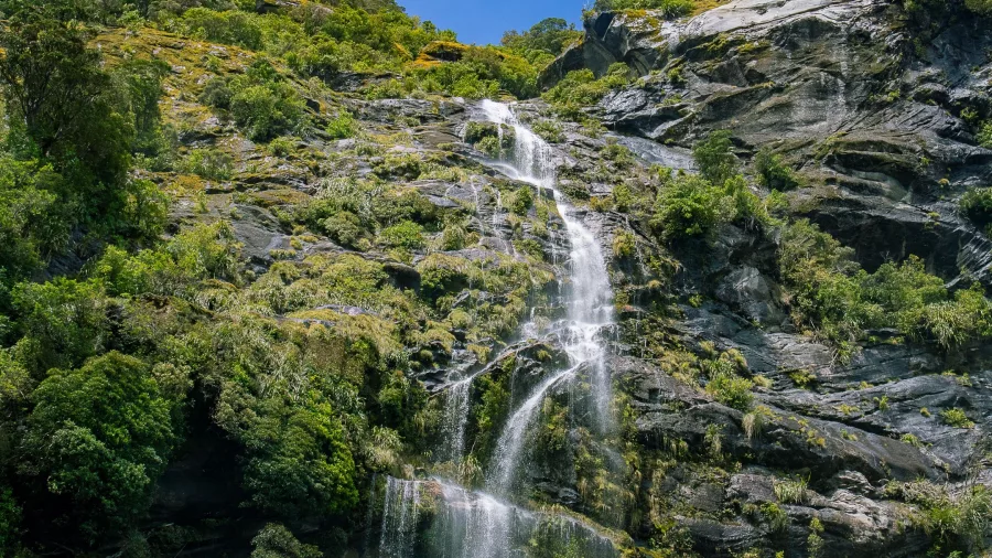 Tall waterfall cascading down a rocky, forested cliffside in Doubtful Sound, Fiordland, New Zealand