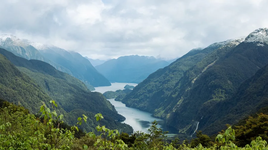 View of Doubtful Sound from Wilmot Pass, surrounded by lush forested mountains in Fiordland, New Zealand