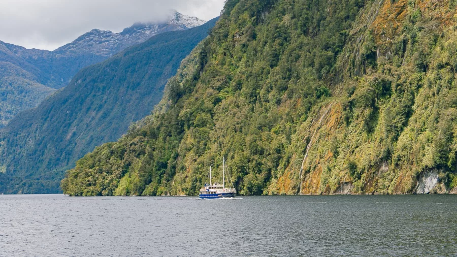 Small cruise vessel Milford Wanderer with misty Fiordland mountains in the background