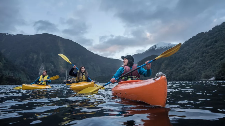 Group of kayakers exploring Doubtful Sound at dusk