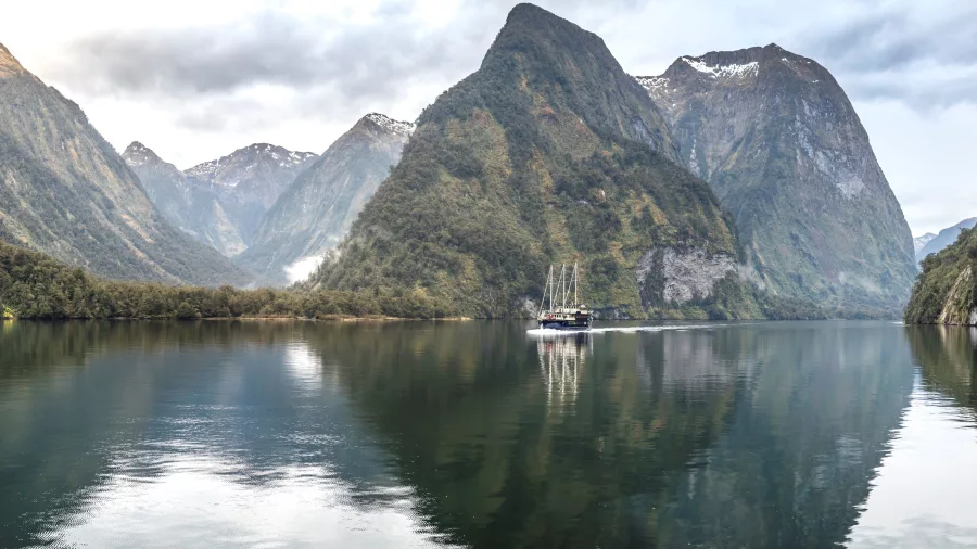 Fiordland Navigator cruise ship reflected in the calm waters of Doubtful Sound surrounded by steep forested peaks