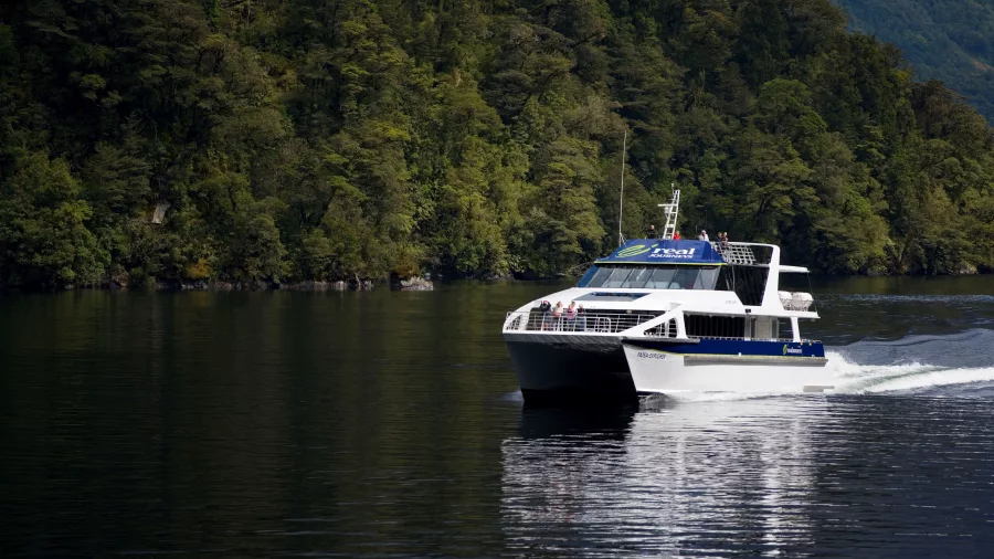 The Patea Explorer boat on calm waters in Doubtful Sound with dense forest and reflections