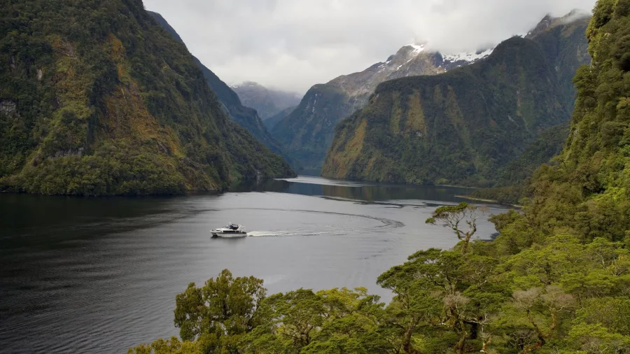 The Patea Explorer sailing through Doubtful Sound’s wide fiord surrounded by forested cliffs and snow-capped peaks
