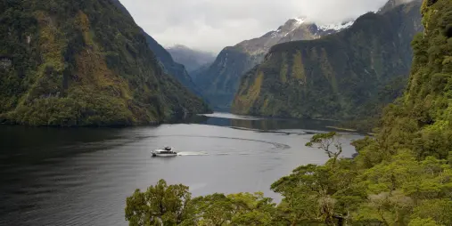 Patea Explorer cruising through Doubtful Sound with lush mountains in the background