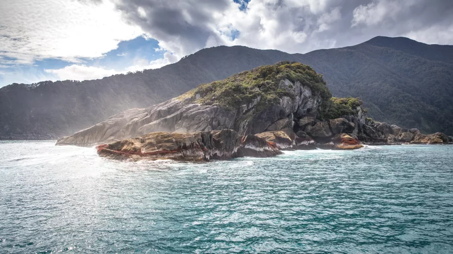 Rocky island with green vegetation surrounded by turquoise water and sunlight in Doubtful Sound