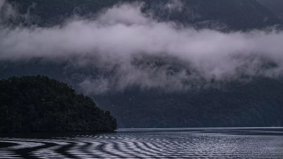 Rippling water and low-lying cloud in Doubtful Sound, New Zealand