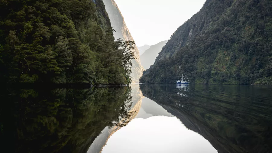 Fiordland Navigator reflected in calm waters between two forested cliffs in Doubtful Sound