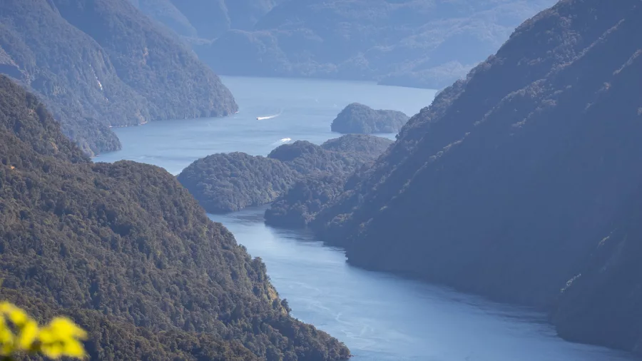 Portrait view of Doubtful Sound framed by bush-covered ridges from Wilmot Pass