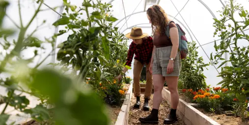 Greenhouse with vegetables and flowers at Walter Peak
