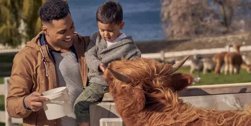 Father and son feeding a Highland cow at Walter Peak with lake in background