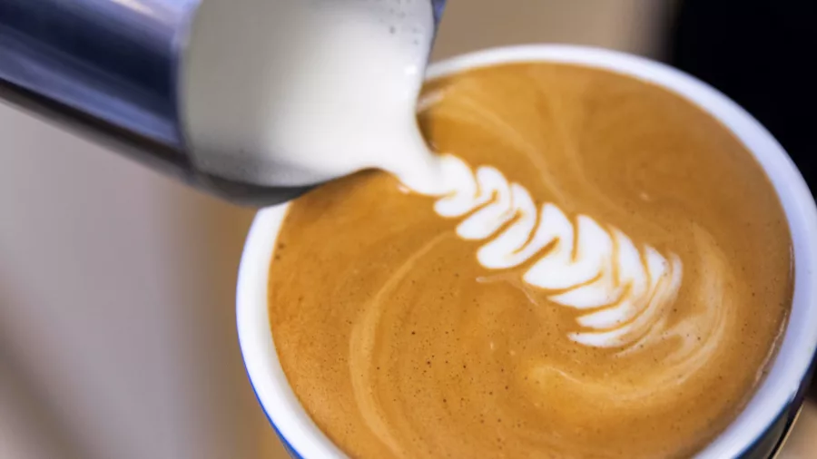 Flat white coffee being poured on a luxury Milford Sound tour