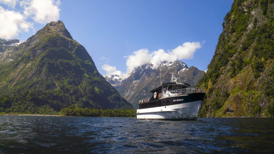 MV Sinbad cruising on Milford Sound with dramatic Fiordland scenery