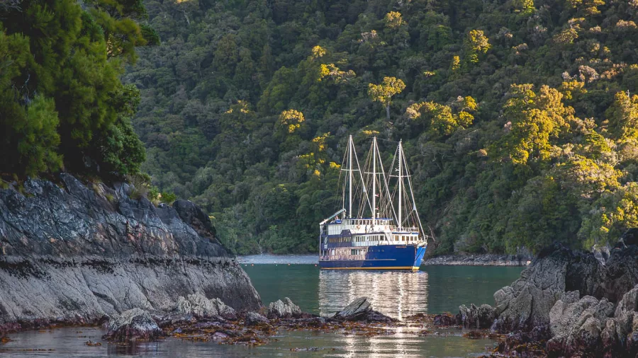 Milford Mariner nestled in a quiet inlet surrounded by forest in Fiordland