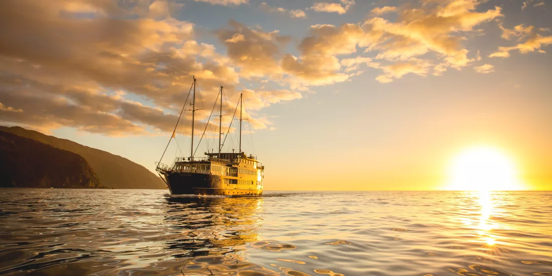 Milford Mariner cruising at golden hour with the sun setting on the ocean horizon
