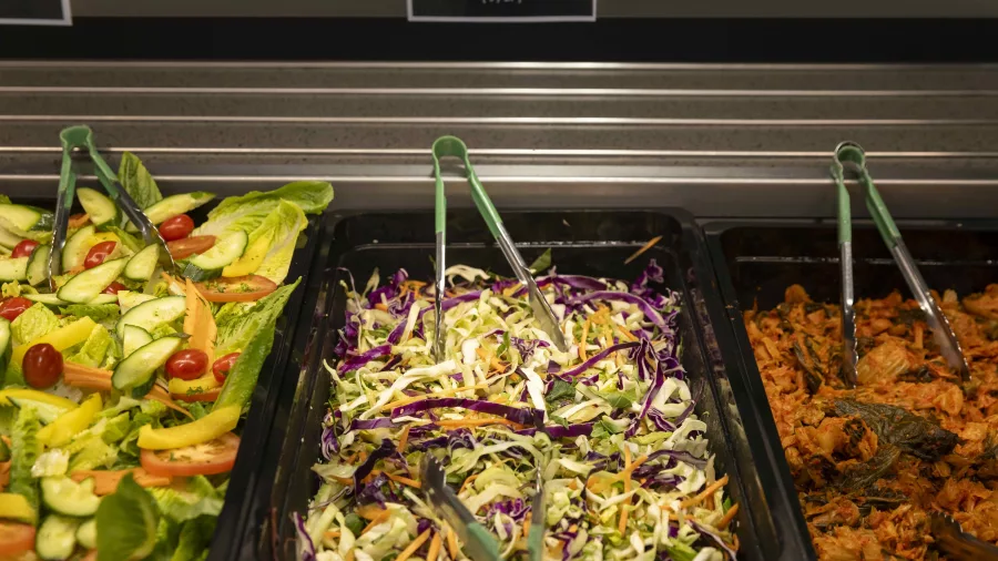 Colourful salad bar selection on the Milford Sovereign day cruise buffet