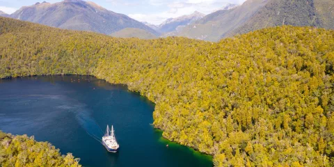 Aerial view of the Milford Wanderer cruising through a lush green inlet surrounded by Fiordland’s mountains