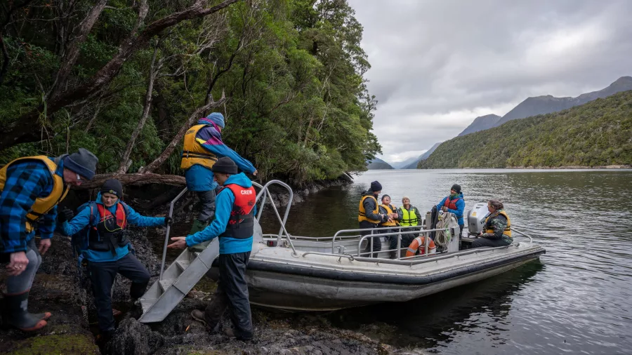 Guests disembarking a small boat onto a remote forested shoreline during a Fiordland cruise expedition