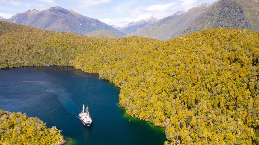 Aerial view of the Milford Wanderer cruising through a lush green inlet surrounded by Fiordland’s mountains