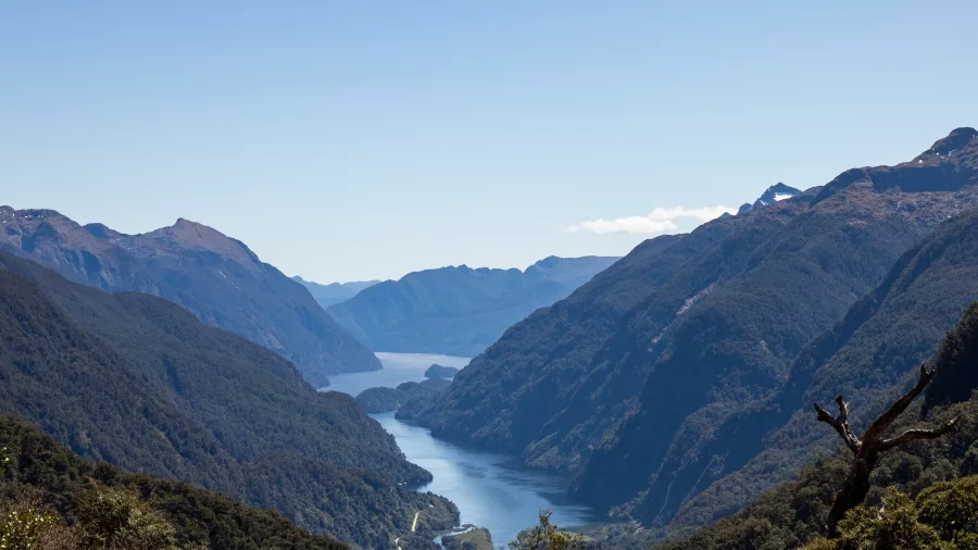 Panoramic view of Preservation Inlet and dramatic Fiordland mountains from a high vantage point