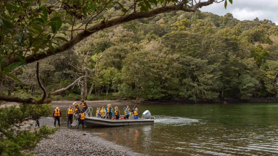 Small group of travellers stepping ashore from a boat on a pebbled beach surrounded by native bush