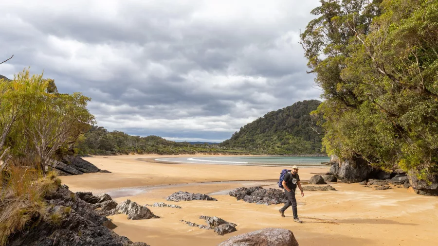 A solo hiker walking along a golden sandy beach backed by native bush near Preservation Inlet