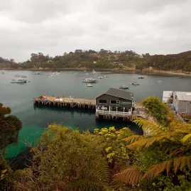 View of Stewart Island's ferry terminal with boats in the harbor and lush green surroundings.