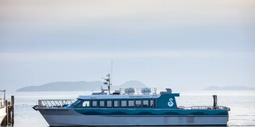 Foveaux express stewart island ferry