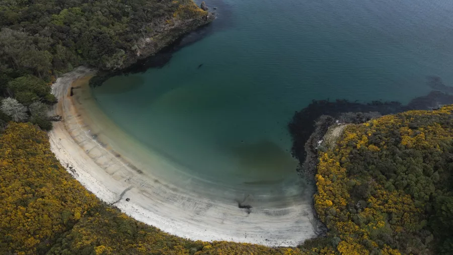 Aerial view of a secluded bay with clear turquoise water and surrounding forest on Stewart Island.
